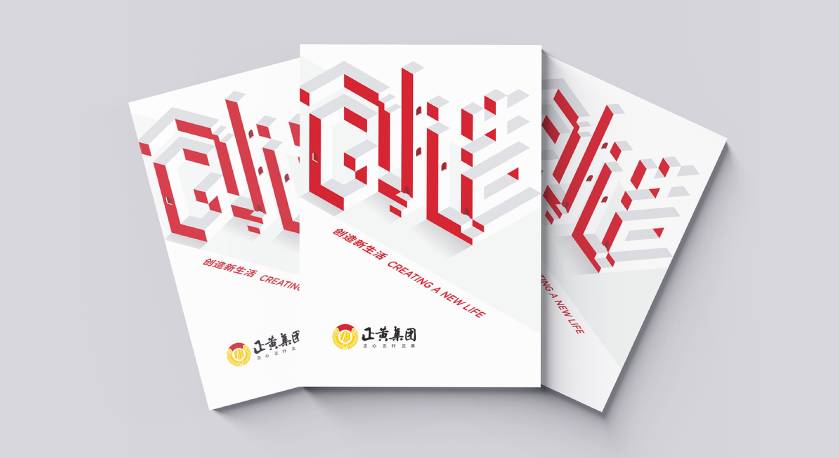 东洲区宣传册设计：以精准触达，奏响城市发展的时代旋律